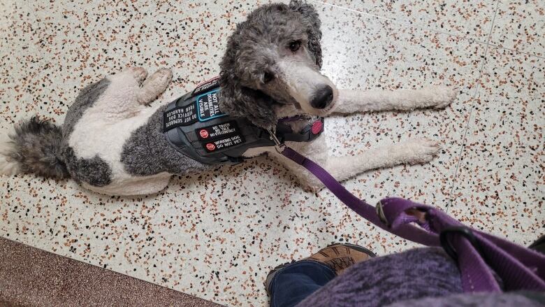 Trixie in her vest in the school hallway