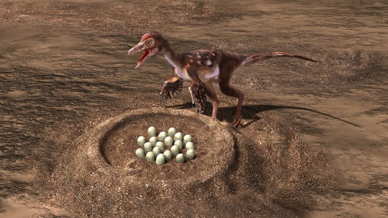 A two-legged dinosaur stands over a dish-shaped nest containing a bunch of half-buried eggs.