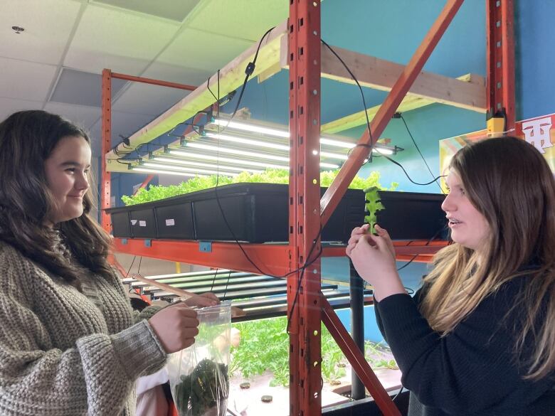 Two teenage girls stand next to a shelf with trays of lettuce growing in them.