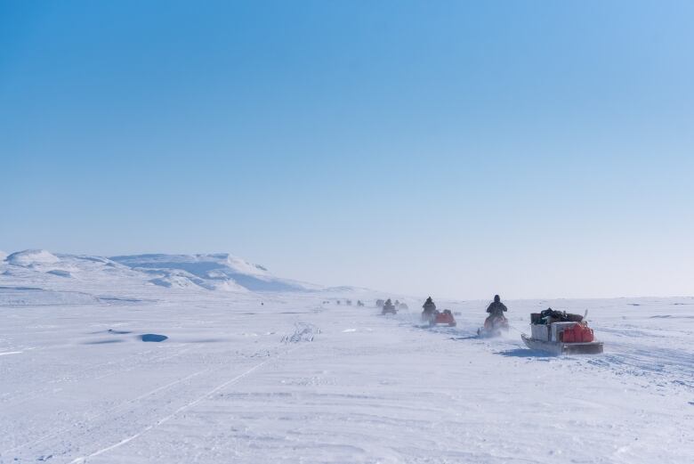 A convoy of snowmobiles with qamutiks (sleds) in tow travel across a snowy landscape below a clear blue sky. 