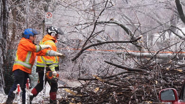 Two men work to clean up fallen branches