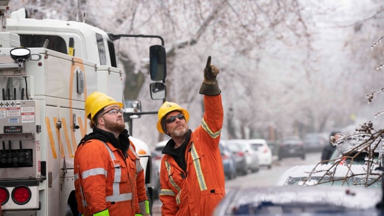 Workers in orange jackets look and point up at ice covered trees with truck in background.