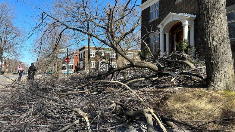 Branches are piled on a lawn.