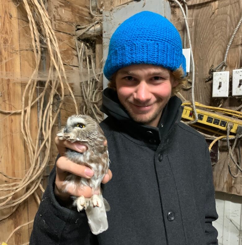 Man holds small owl in a banding hut