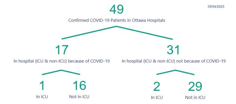 A chart showing the number of people in Ottawa hospitals with COVID.