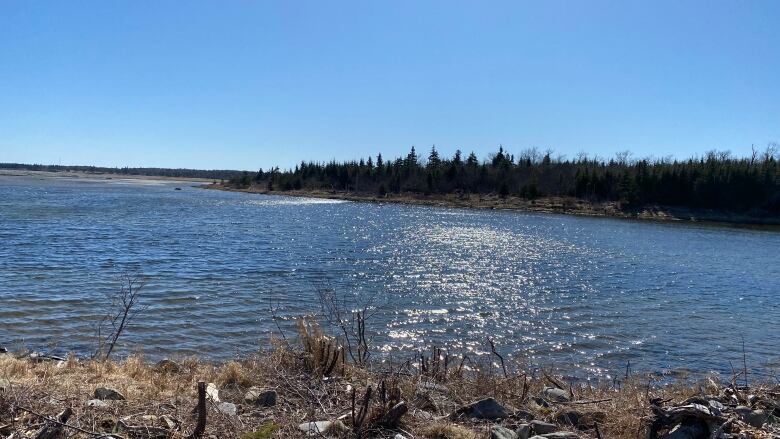 An island sits on a body of water on a sunny day.