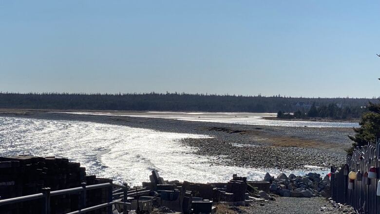 A rocky beach on a sunny day.