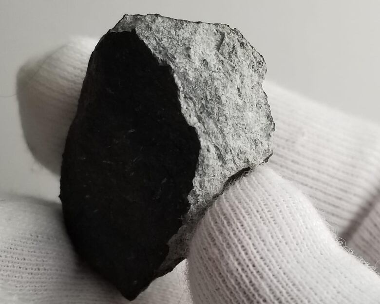 A white gloved hand holding a grey rock against a white background