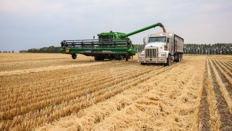 A seeder and a truck in a field.