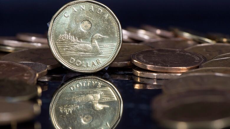 A photo illustration showing many Canadian $1-coins.