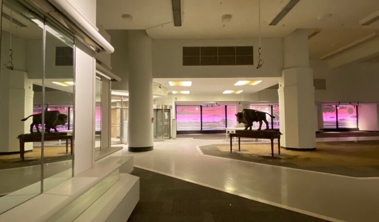 A backlit statue of a bison on a table in a mostly empty departure store.