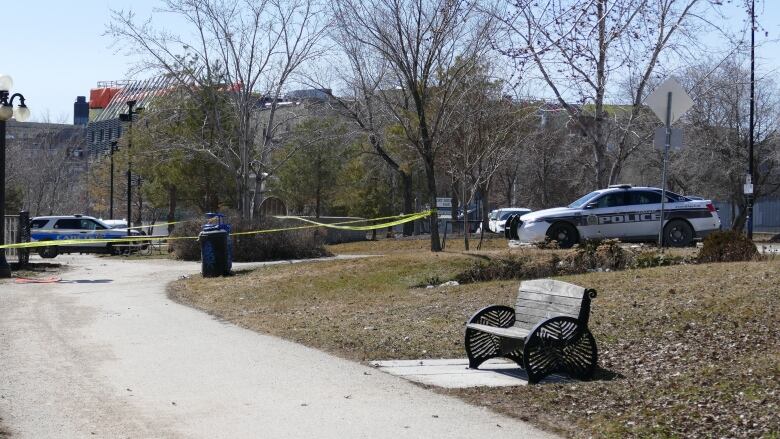 Police cars are pictured in a park setting.