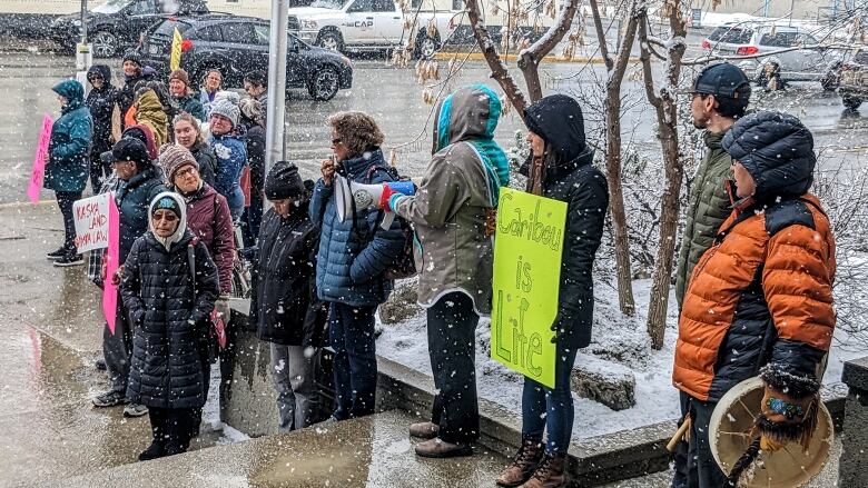 A group of demonstrators stand on the sidewalk as snow falls.