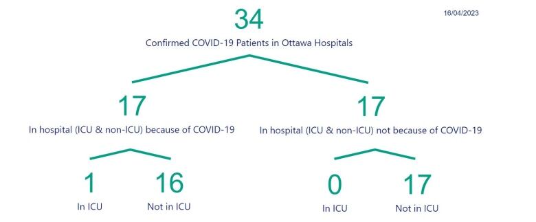 A chart showing the number of people in Ottawa hospitals with COVID.