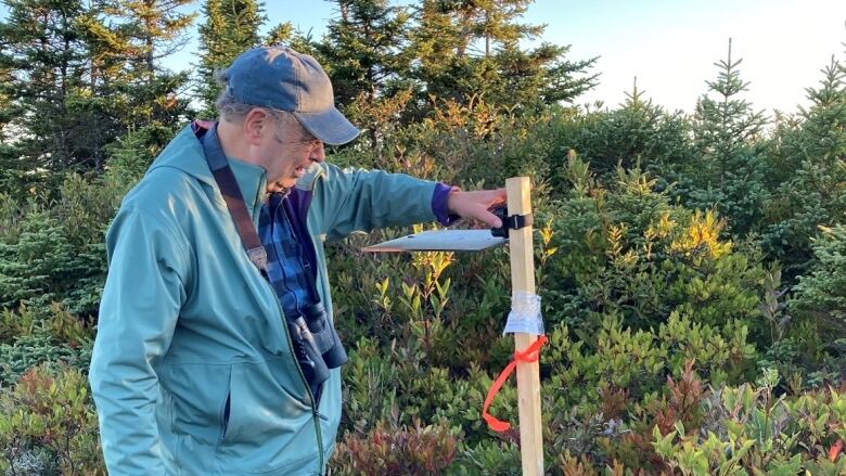 A man stands amid vegetation and observes one of his acoustic monitoring stations