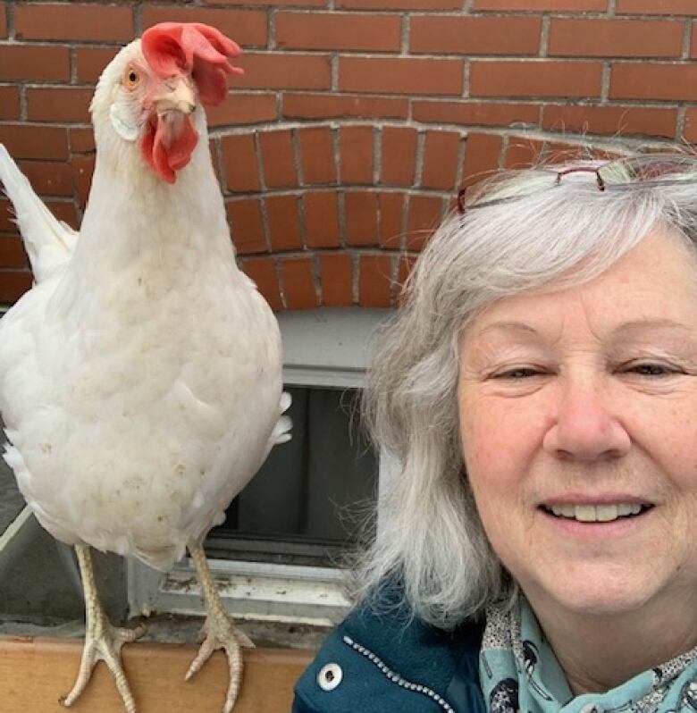 A white hen is shown standing on a ledge next to a woman with mid-length grey hair.