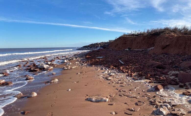 View of a beach.