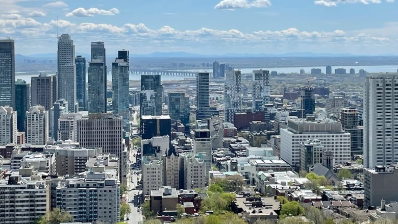 A view of a city from a lookout point.