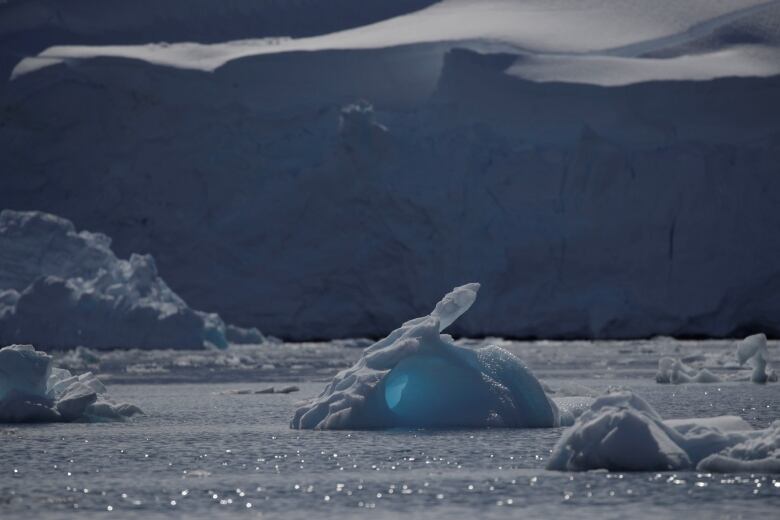 An iceberg with a hole in it floats among other icebergs in front of a cliff of ice.