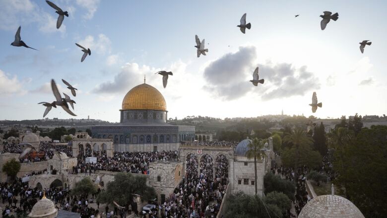 A crowd of people is seen from a high vantage point near the Dome of the Rock shrine, as a flock of birds fly above them. 