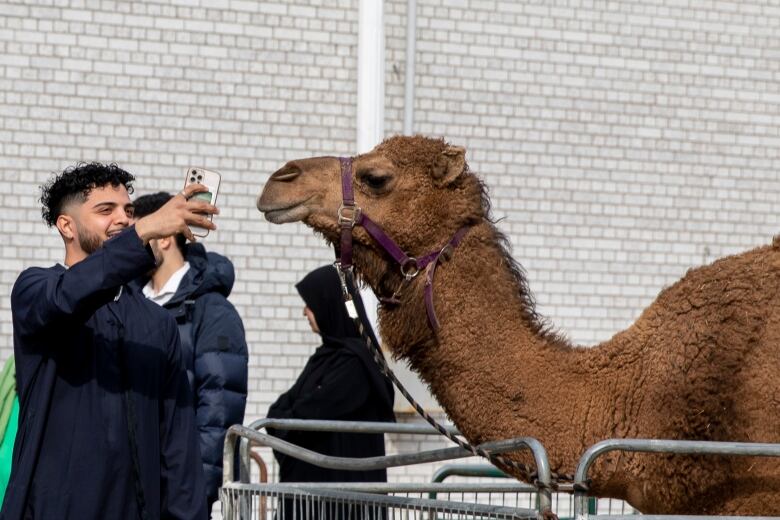 A young man takes a selfie with a camel at the petting zoo during an Eid festival in Toronto