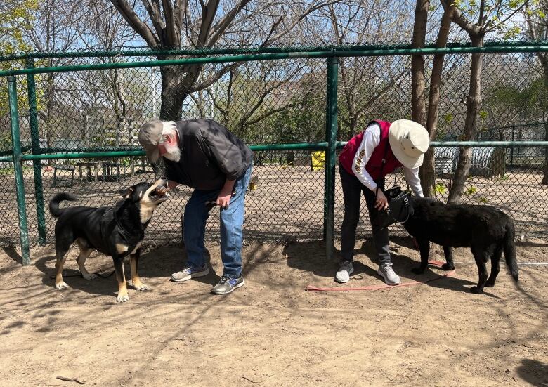 Max with his new family and doggy sibling.