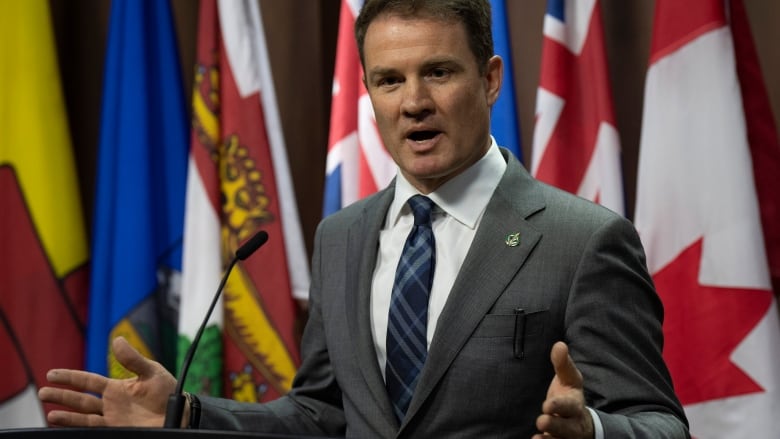 A man in a suit stands at a podium in front of a row of flags.