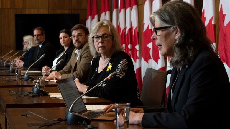 Activists and politicians are pictured at a press conference in Ottawa. 