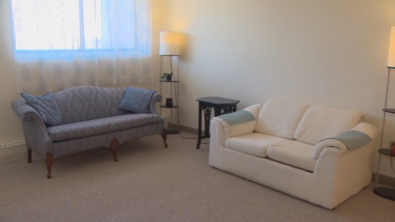 A living room space with two couches, one cream coloured, the other, blue.