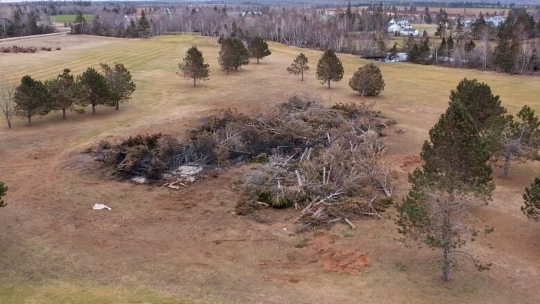 A pile of tree debris from Fiona 