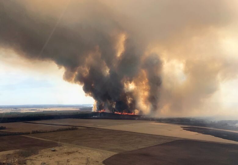 Plumes of smoke rise in the air due to a large grass fire.