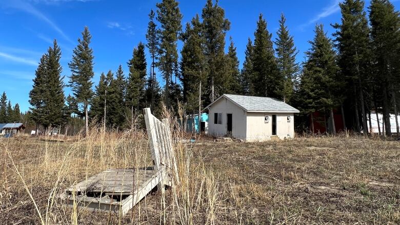 Shed in a field, trees.