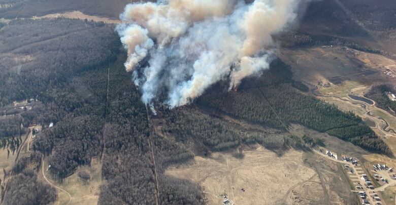 Smoke rises from trees that are burning in rural Alberta.