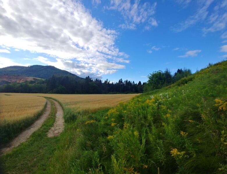 Green fields and crops in the distance are mountains