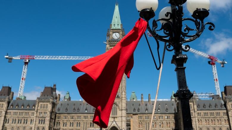 A red dress hangs from a lamppost in front of a legislature.