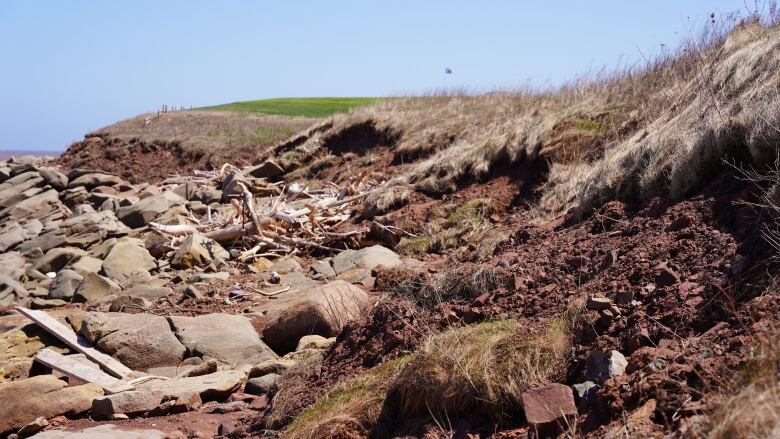 A golf green is in the background with sandy soil exposed at the bank in front after a seven foot tidal surge from storm Fiona.