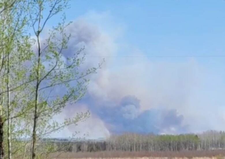 A dark cloud of smoke is billowing in distance into the bright blue sky. The smoke stems from an unseen fire burning in the forest. 