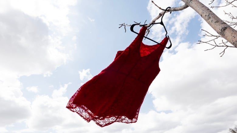 A red dress on a hangar blows outward from the tree where it's hanging.