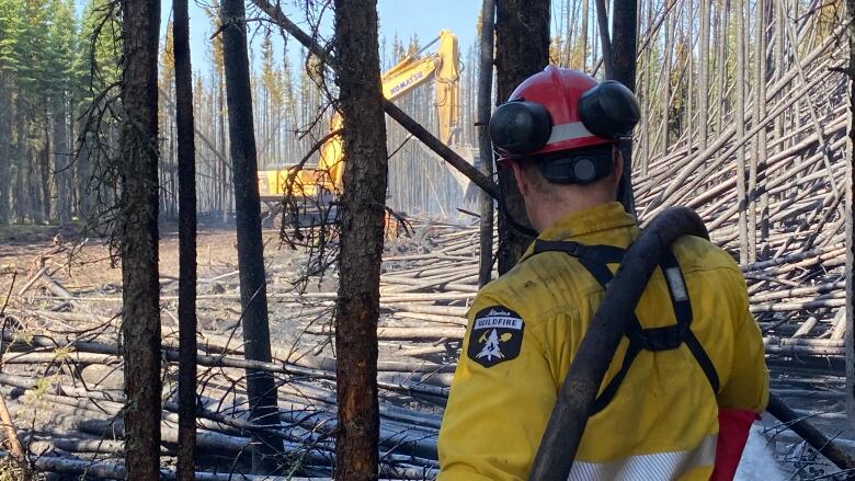 Firefighter in bright yellow clothing and helmet works in treed area with big machinery seen in the distance