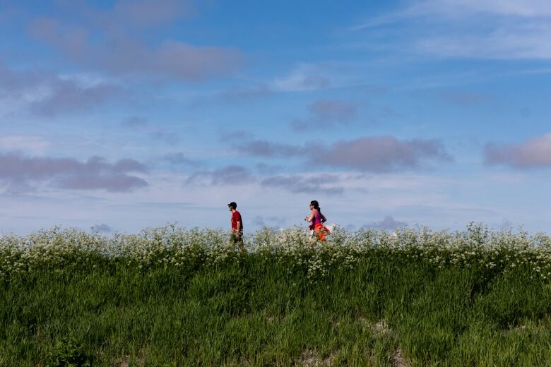 See one person walking another jogging with their legs obscured by rows of tall spring wildflowers or plants.