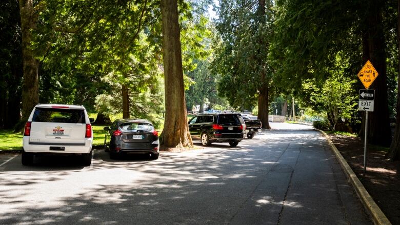 Several cars are parked in a parking lot surrounded by trees.