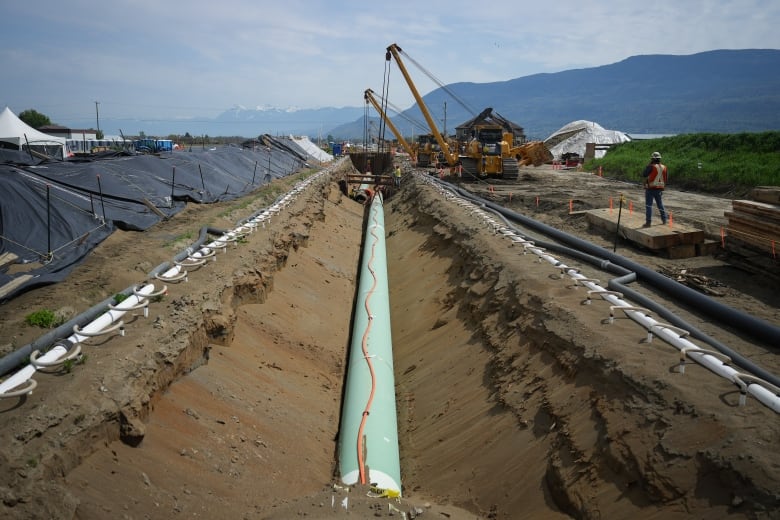 Workers lay pipe during construction of the Trans Mountain pipeline expansion.