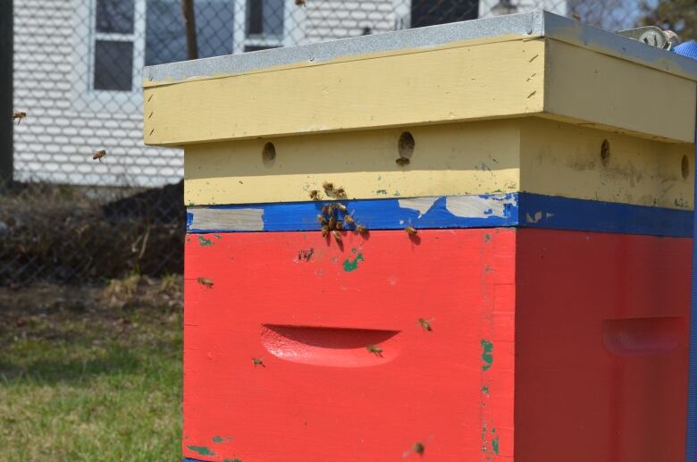 A box sitting in a green field with bees flying near it. 