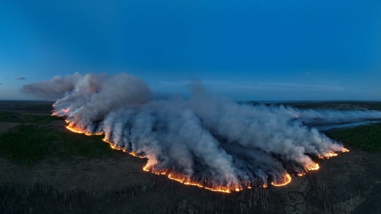 Smoke rises from a vast tract of forest, creating a large smoke cloud.