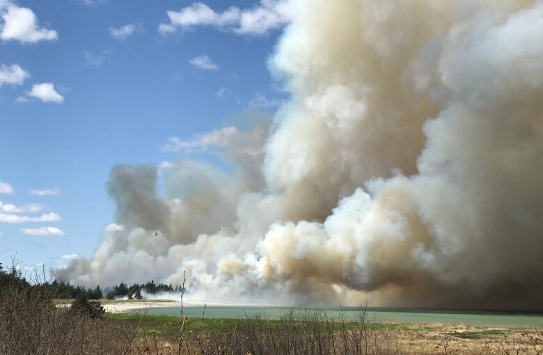 Huge plumes of smoke rise from a forest near a lake.