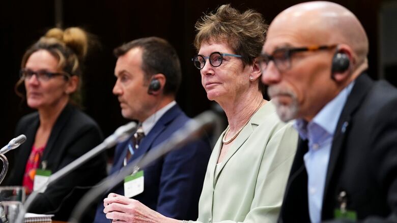 Leaders in Canadian sport appear as witnesses at a House of Commons heritage committee.