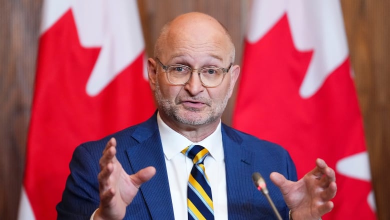 A man in a suit speaks with Canadian flags in the background.