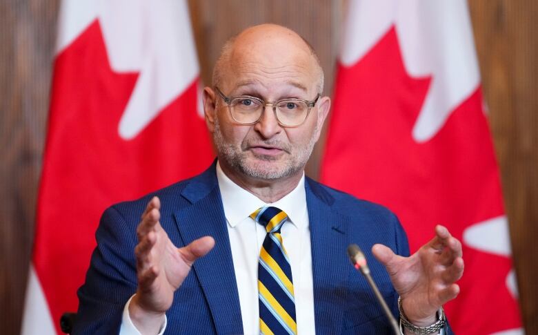 A man in a suit speaks with Canadian flags in the background.