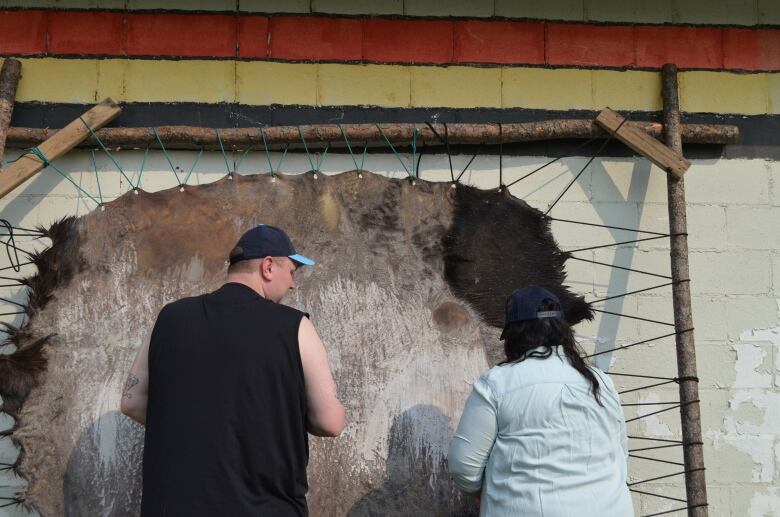 Two individuals standing in front of a moose hide prepping during the hide tanning process. 