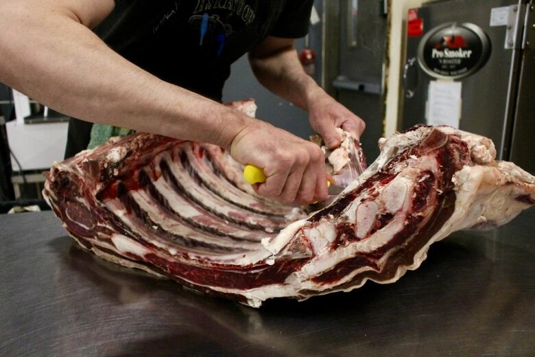 A pair of hands wielding a small knife is seen slicing and tearing apart a large hunk of meat that is sitting on a stainless steel table.